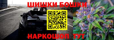 дмт Заводоуковск