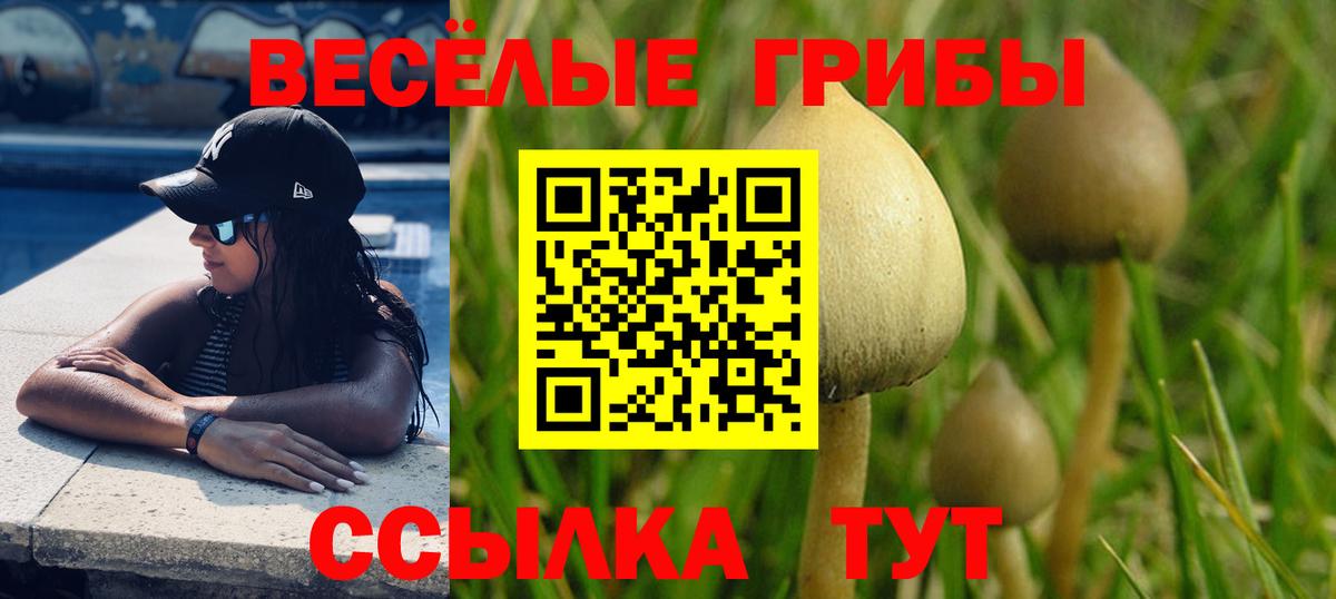 Псилоцибиновые грибы Psilocybine cubensis  Вход с VPN  Карталы 
